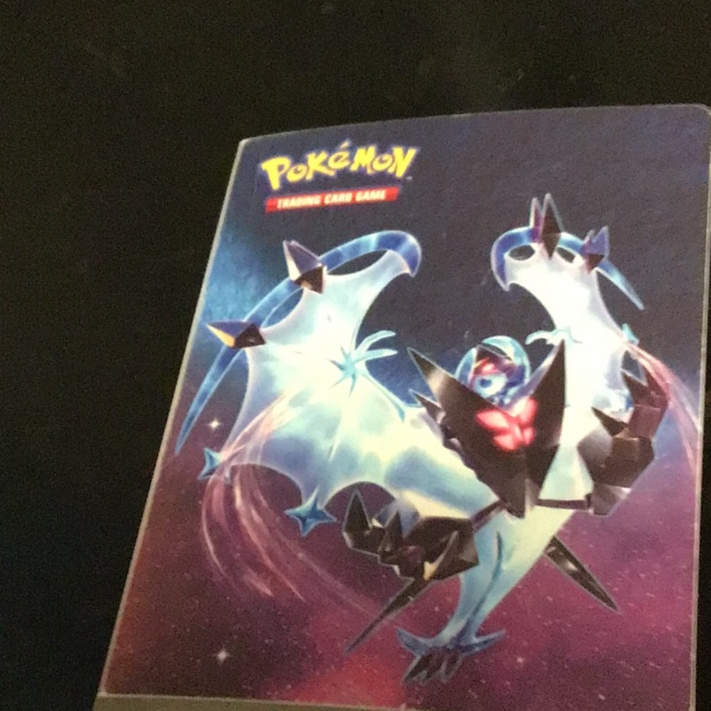 Pokémon binder